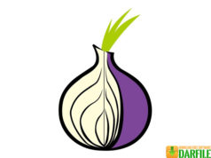 tor browser