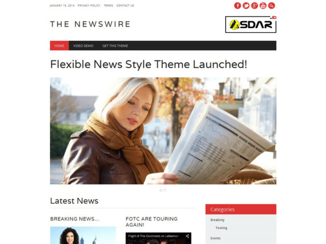 the newswire wordpress