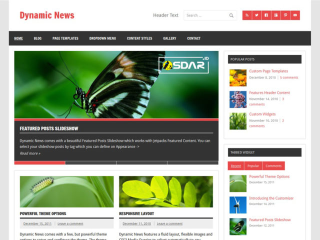 dynamic news lite wordpress